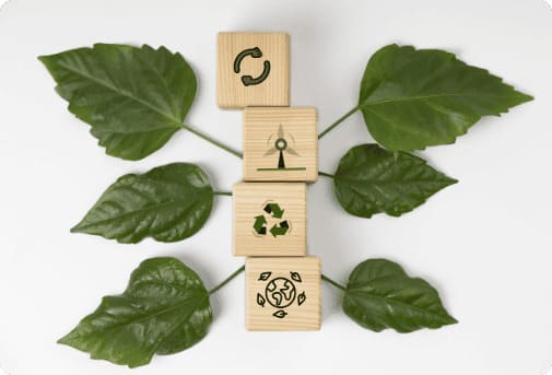 sustainable-development-goals-still-life